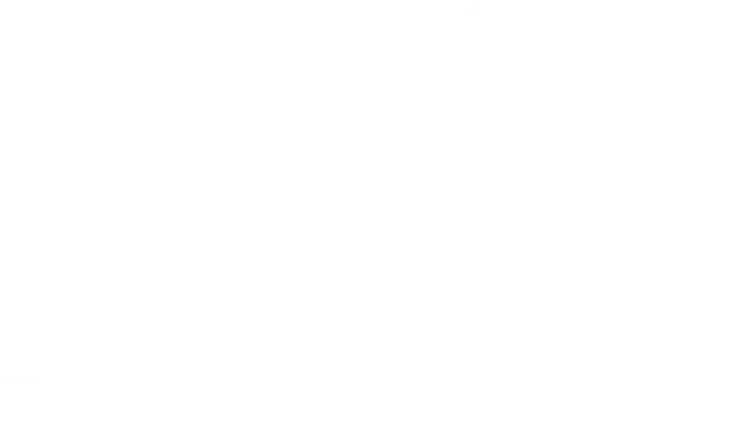 AYS Developers